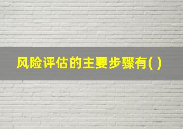 风险评估的主要步骤有( )